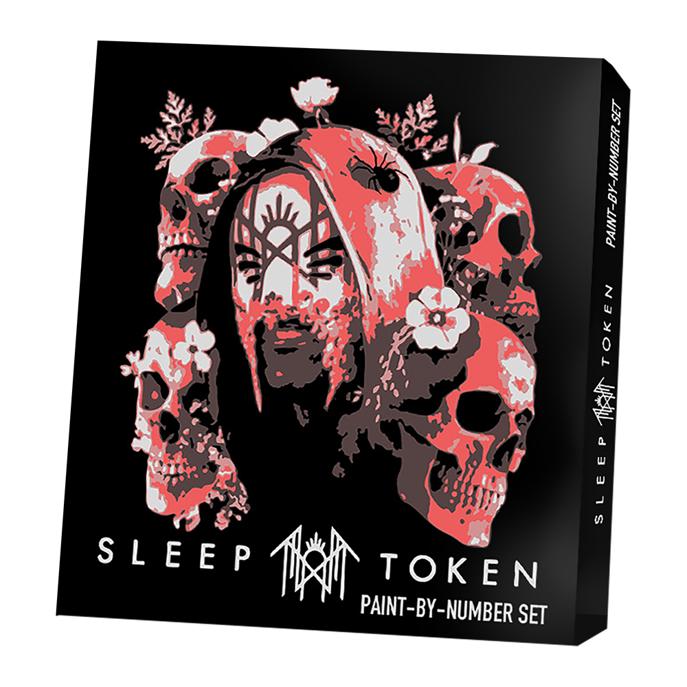 Skull & Flowers Paint By Numbers Set