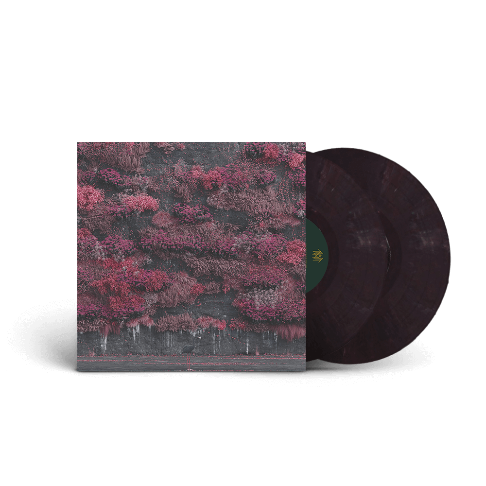 Limited Edition EIA Ultimate Music Boxset