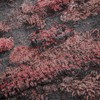 Even In Arcardia Tapestry