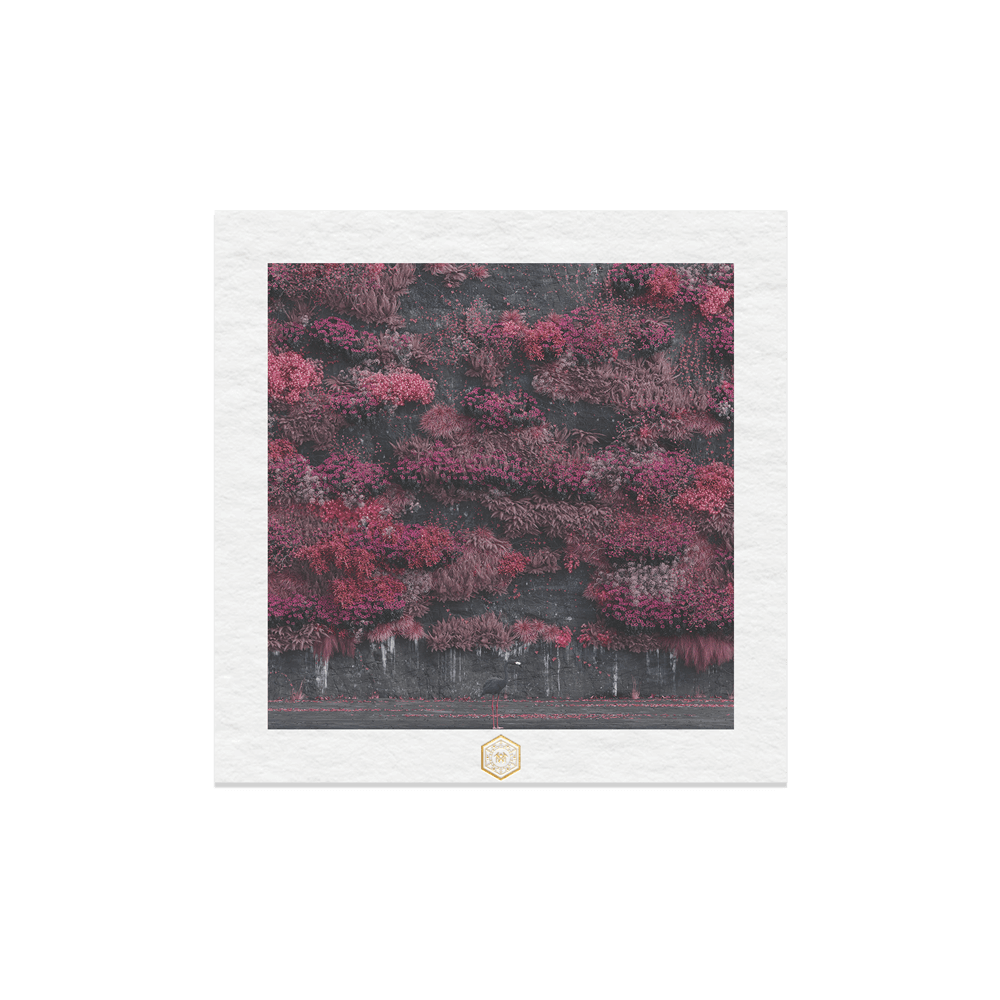 Limited Edition EIA Tapestry Boxset