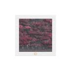 Limited Edition EIA Tapestry Boxset