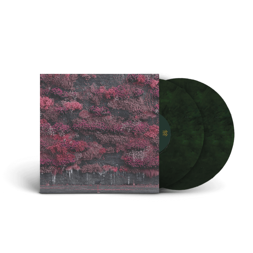 Limited Edition EIA Ultimate Music Boxset